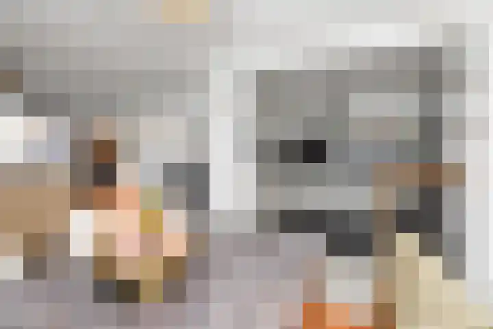 Colijnstraat 49 Oss thumbnail 22