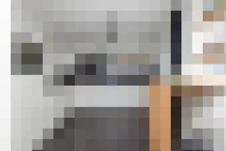 Colijnstraat 49 Oss thumbnail 24
