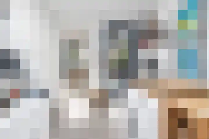 Colijnstraat 49 Oss thumbnail 28