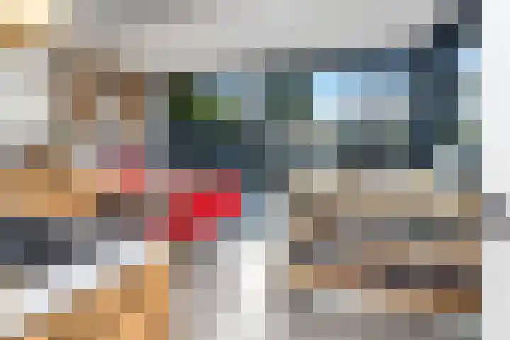 Colijnstraat 49 Oss thumbnail 29
