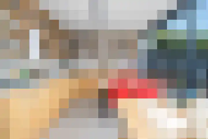 Colijnstraat 49 Oss thumbnail 30