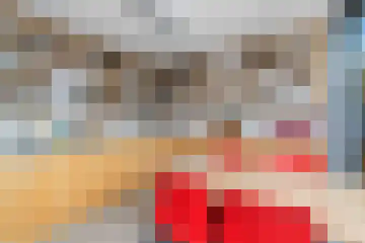 Colijnstraat 49 Oss thumbnail 31