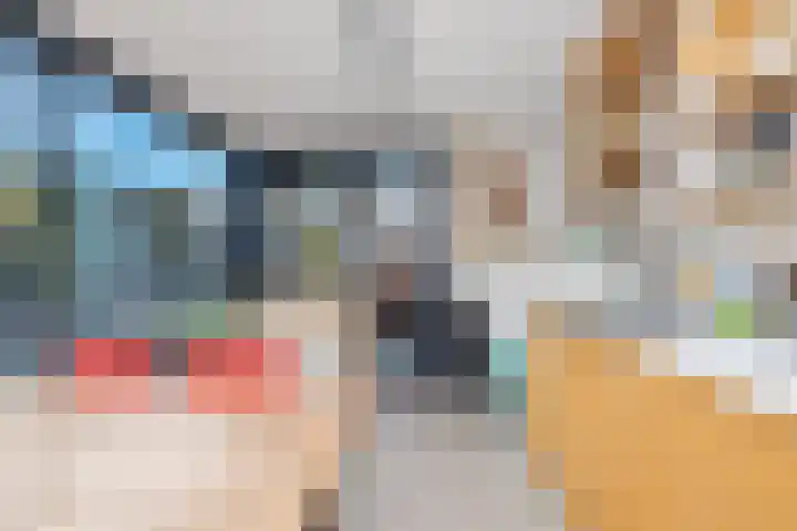 Colijnstraat 49 Oss thumbnail 33