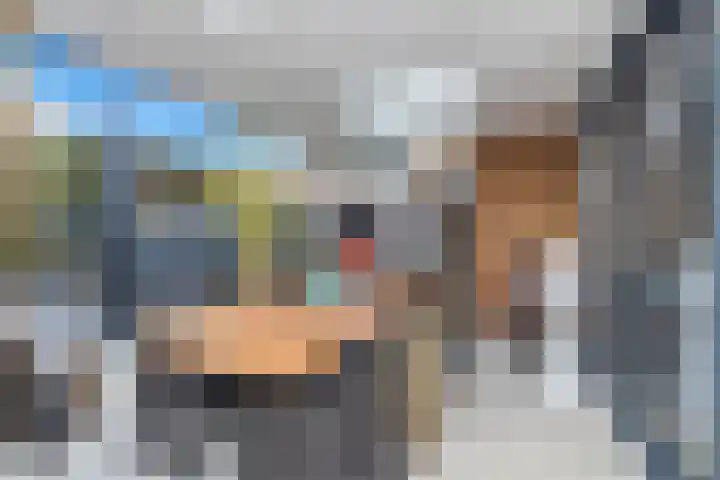 Colijnstraat 49 Oss thumbnail 35