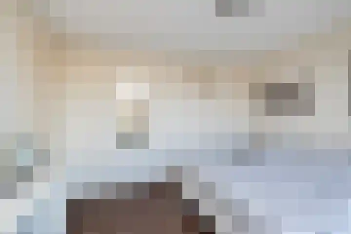 Colijnstraat 49 Oss thumbnail 52