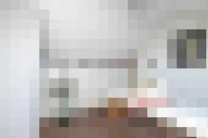 Colijnstraat 49 Oss thumbnail 61