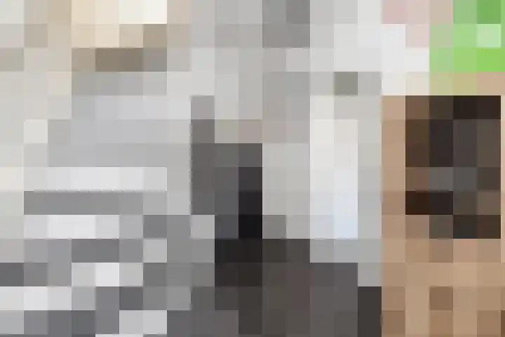 Colijnstraat 49 Oss thumbnail 7