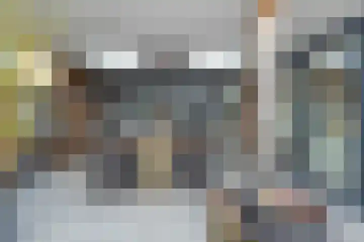 Colijnstraat 49 Oss thumbnail 70