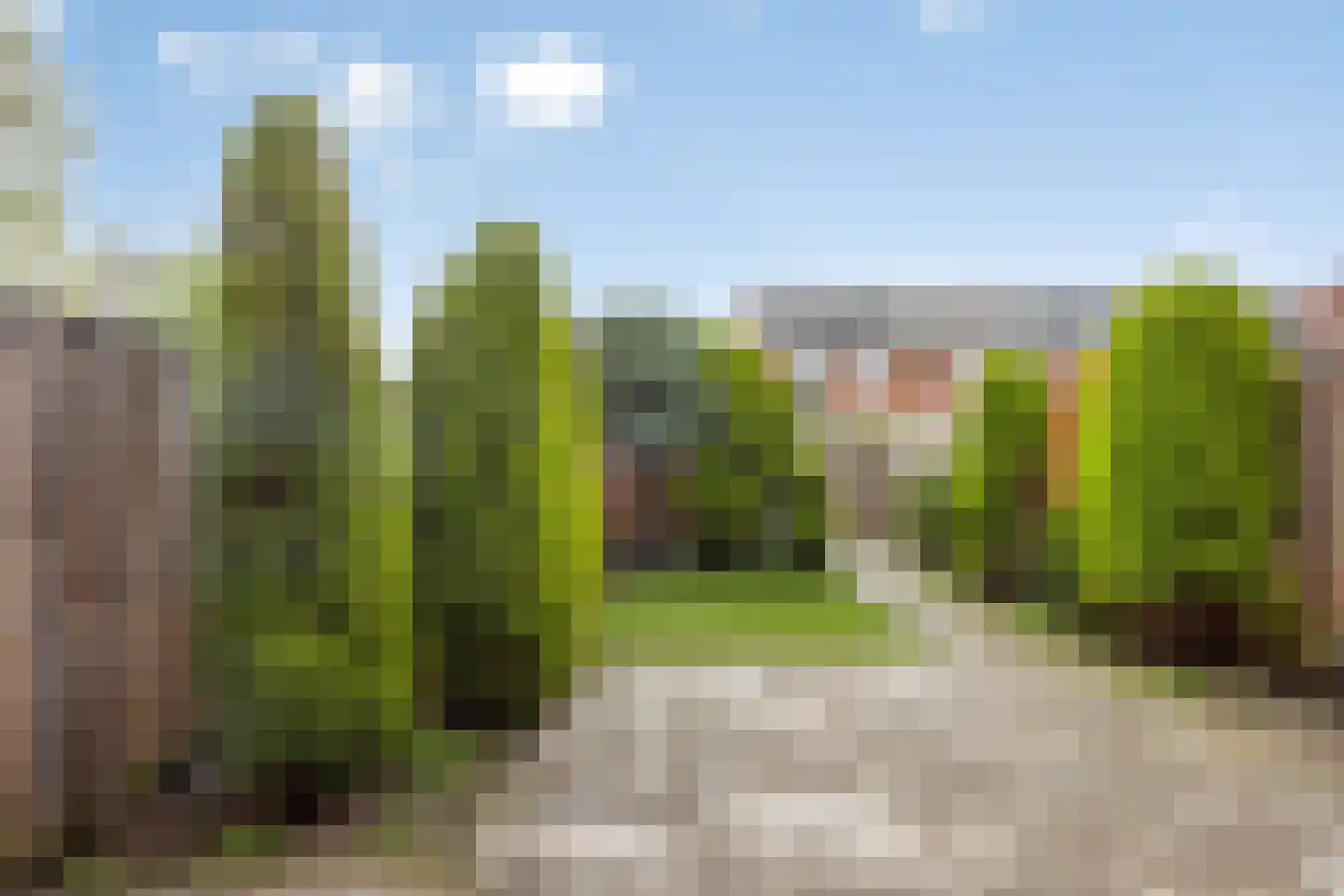 Colijnweg 25 Zwijndrecht thumbnail 23