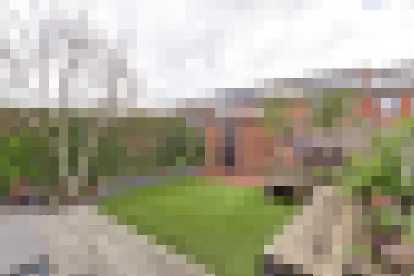 Colijnweg 33 Zwijndrecht thumbnail 44