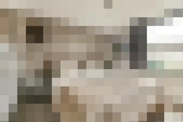 Colijnweg 8 Zwijndrecht thumbnail 11