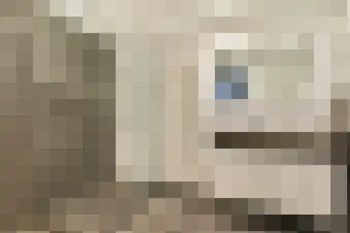 Colijnweg 8 Zwijndrecht thumbnail 13