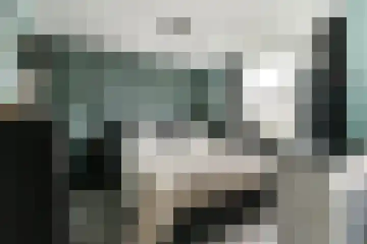 Colijnweg 8 Zwijndrecht thumbnail 15