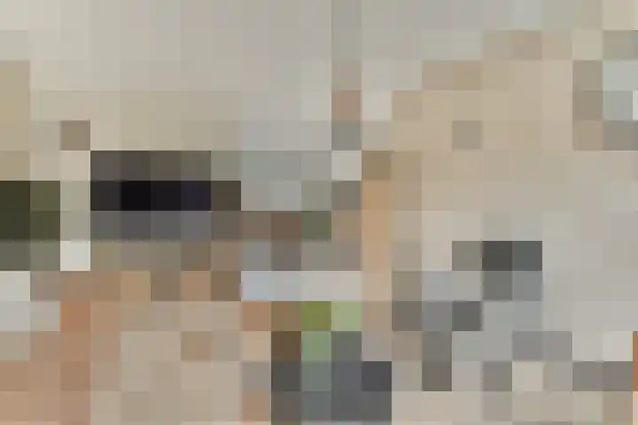 Colijnweg 8 Zwijndrecht thumbnail 7