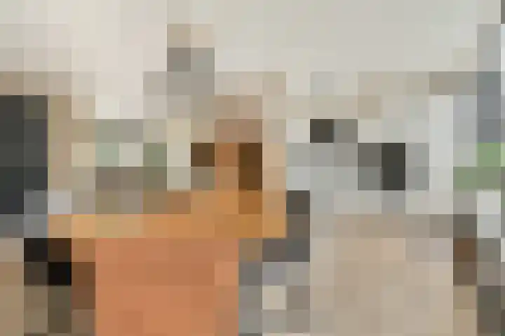 Colijnweg 8 Zwijndrecht thumbnail 8
