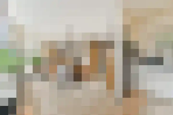 Colijnweg 8 Zwijndrecht thumbnail 9