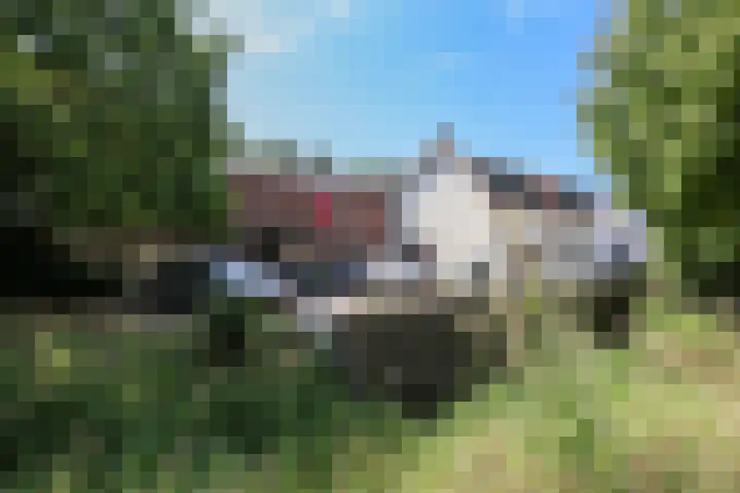 Colinslandsedijk 35 Tinte foto 3