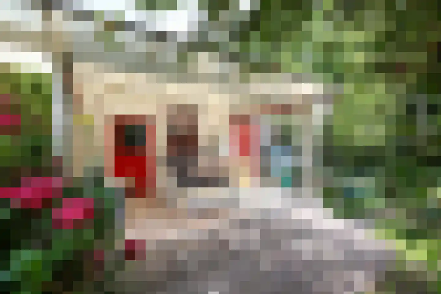 Colinslandsedijk 35 Tinte thumbnail 38