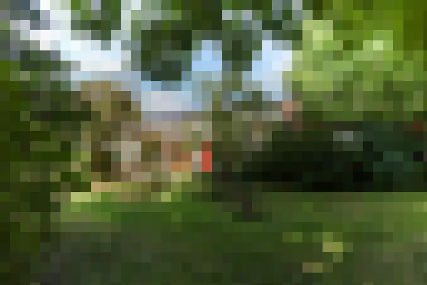 Colinslandsedijk 35 Tinte thumbnail 42