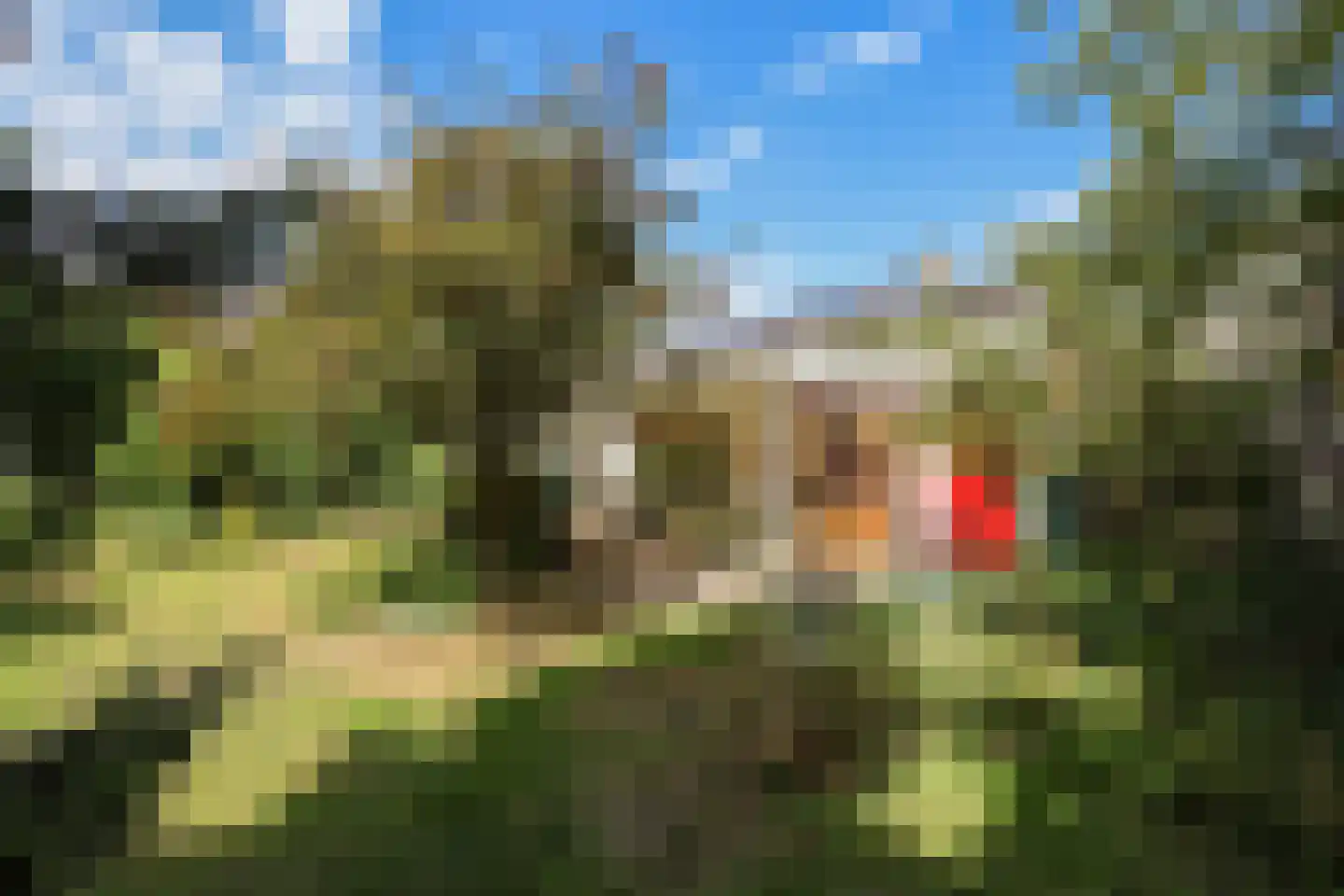 Colinslandsedijk 35 Tinte thumbnail 43