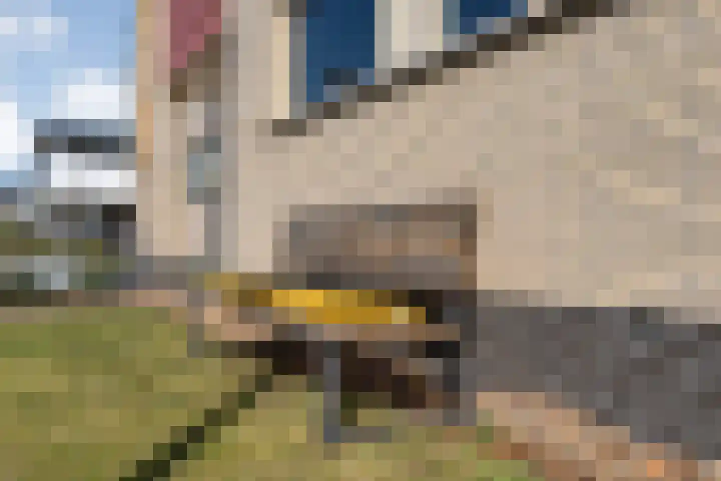 Collendoorn 21 Raalte thumbnail 10