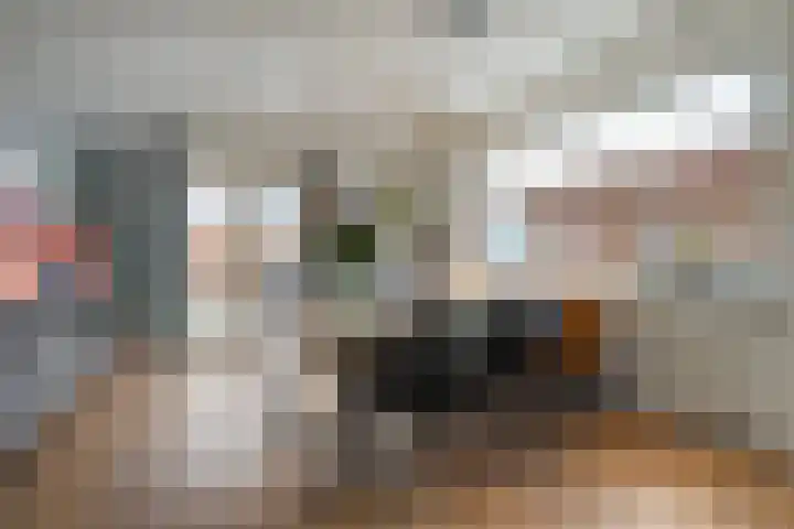 Collendoorn 21 Raalte thumbnail 20