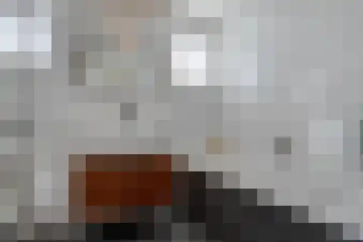 Collendoorn 21 Raalte thumbnail 35