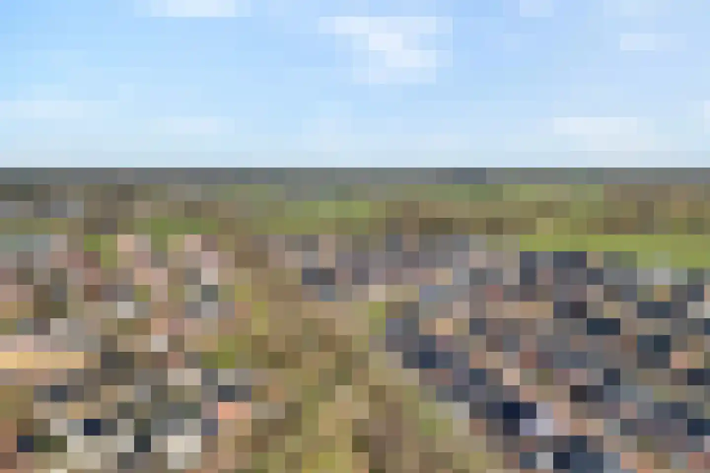 Collendoorn 21 Raalte thumbnail 4