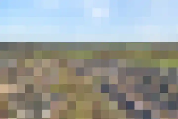 Collendoorn 21 Raalte thumbnail 4