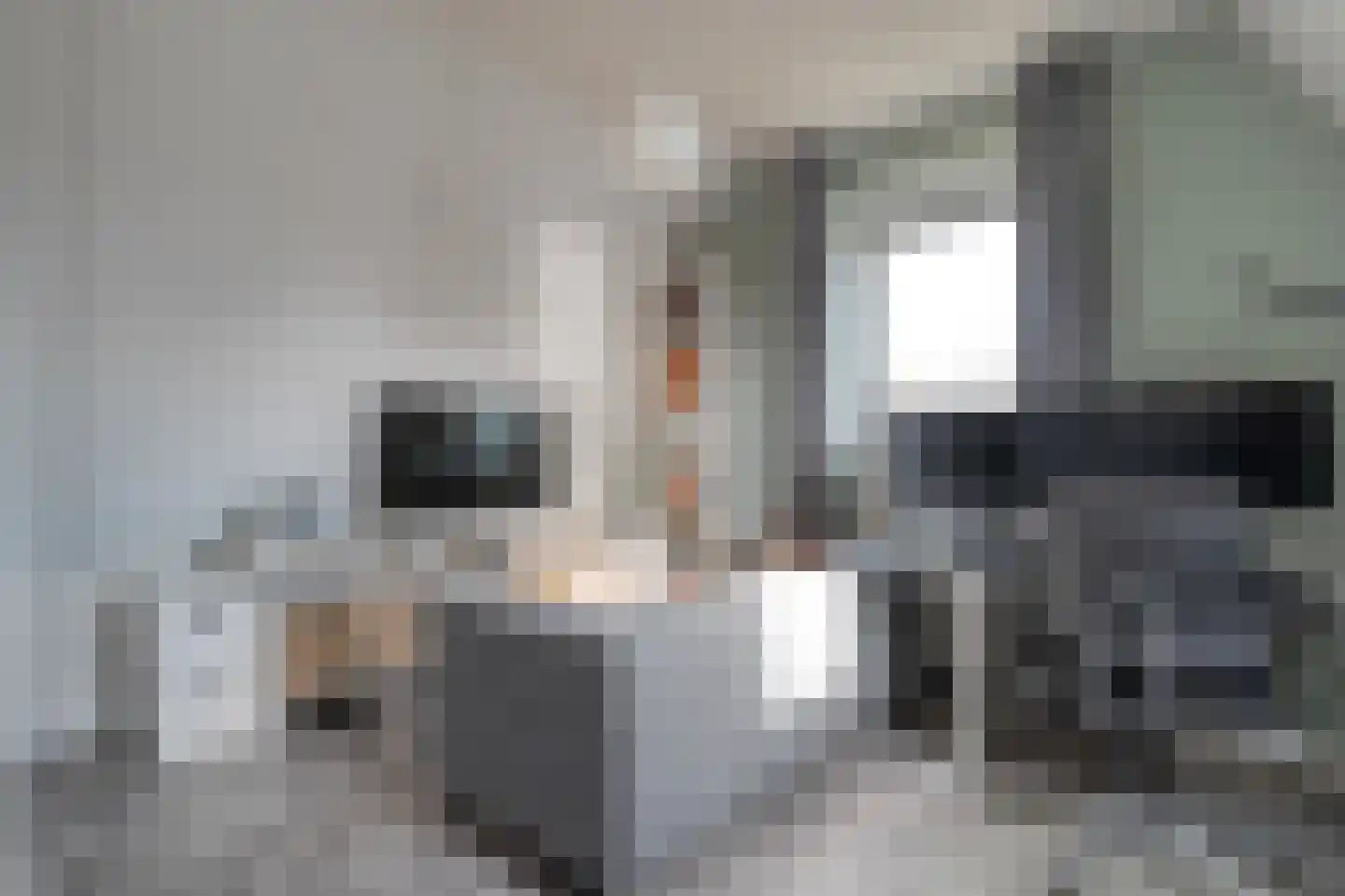 Collendoorn 21 Raalte thumbnail 40