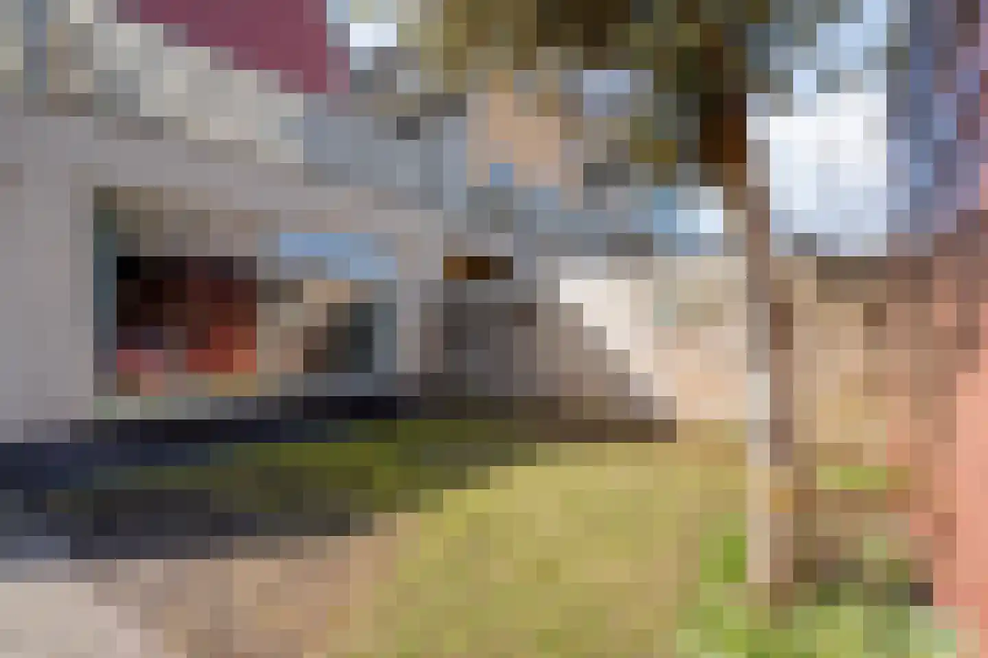 Collendoorn 21 Raalte thumbnail 47