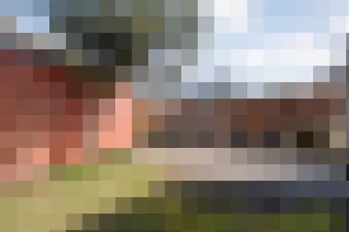 Collendoorn 21 Raalte thumbnail 48