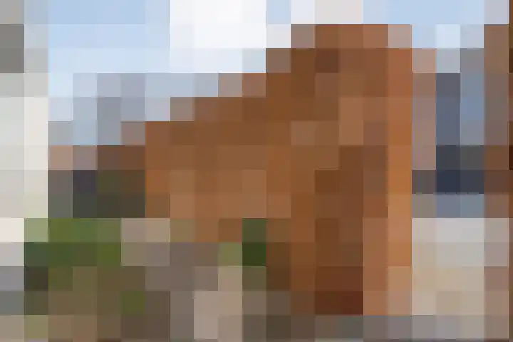 Collendoorn 21 Raalte thumbnail 50