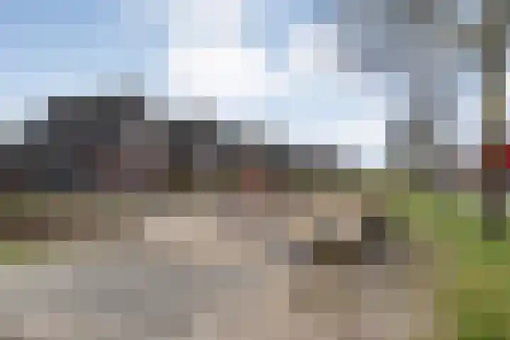 Collendoorn 21 Raalte thumbnail 54