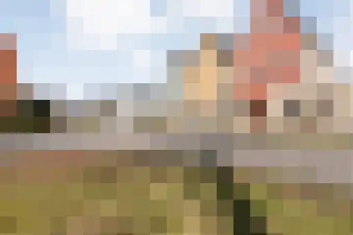 Collendoorn 21 Raalte thumbnail 6