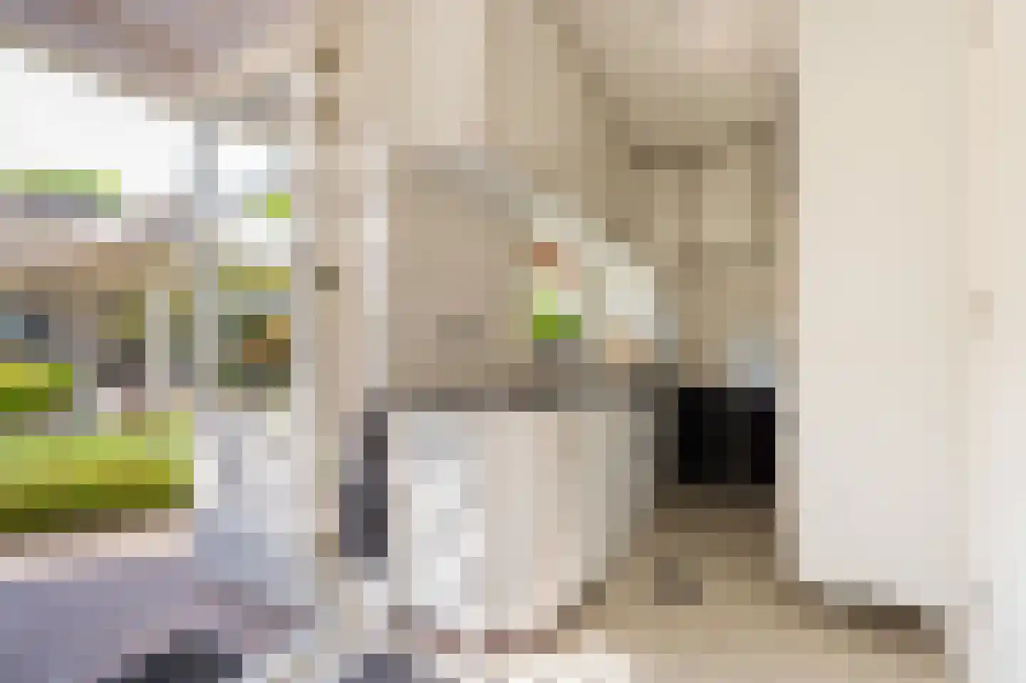Collendoorn 24 Raalte thumbnail 19
