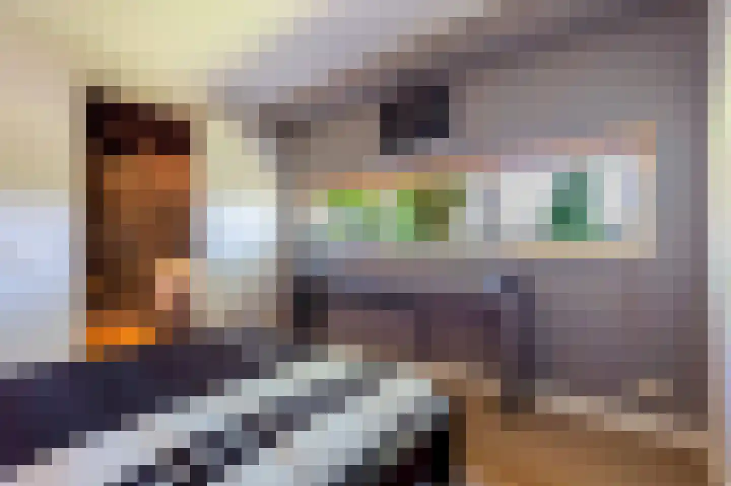 Collendoorn 24 Raalte thumbnail 26