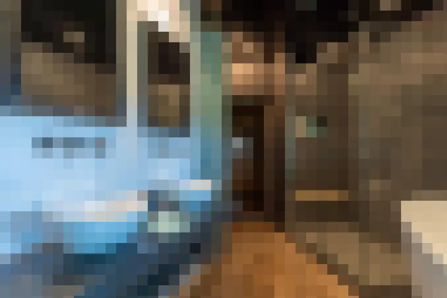 Collendoorn 24 Raalte thumbnail 28