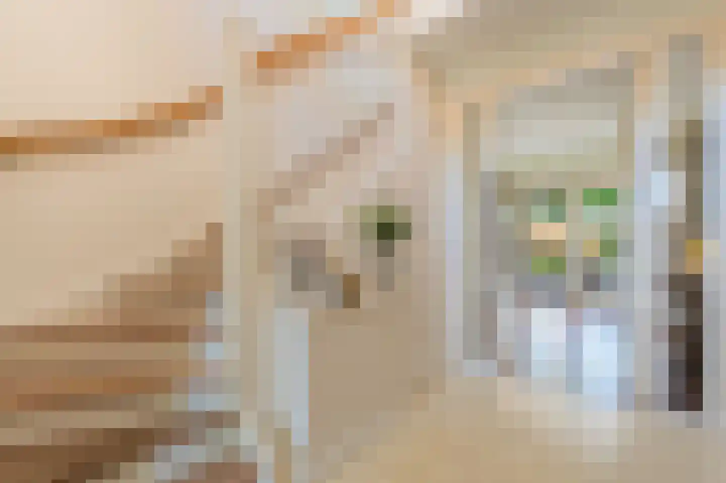 Collendoorn 24 Raalte thumbnail 36
