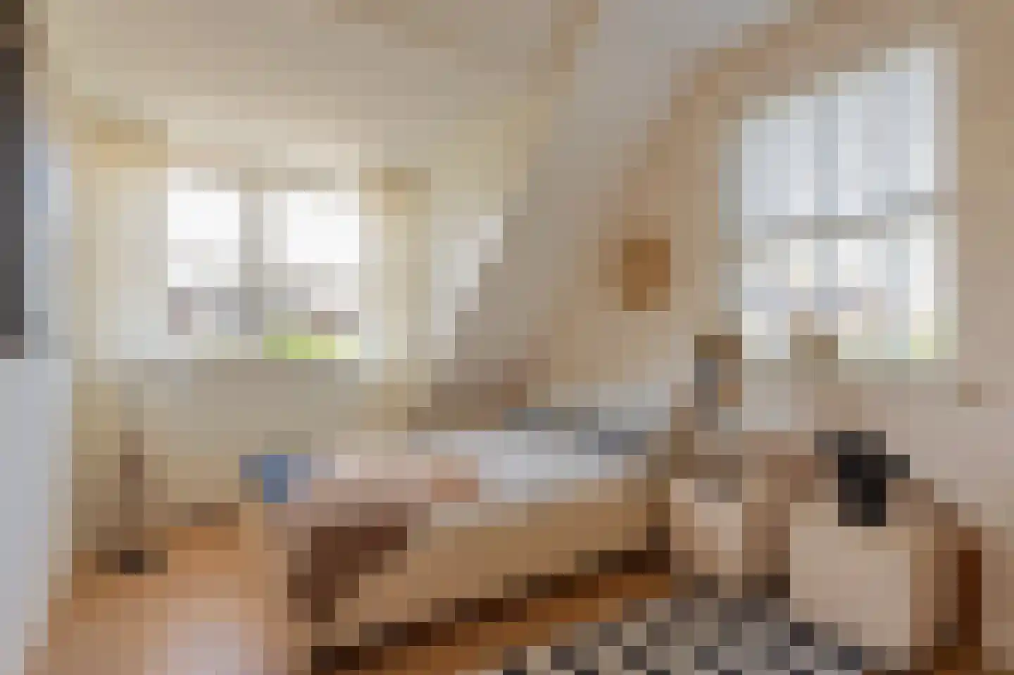 Collendoorn 24 Raalte thumbnail 37