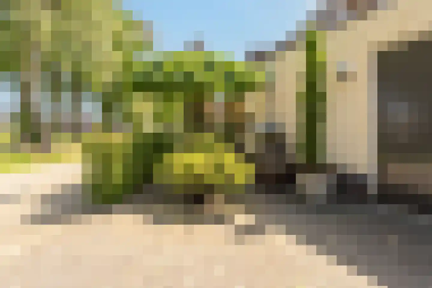 Collendoorn 24 Raalte thumbnail 5
