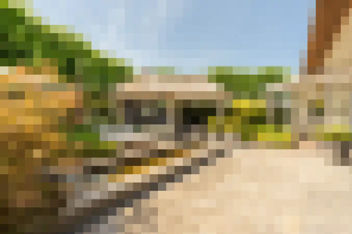 Collendoorn 24 Raalte thumbnail 50