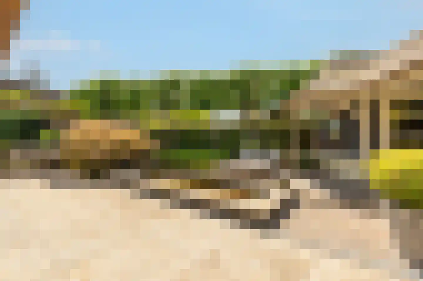 Collendoorn 24 Raalte thumbnail 51