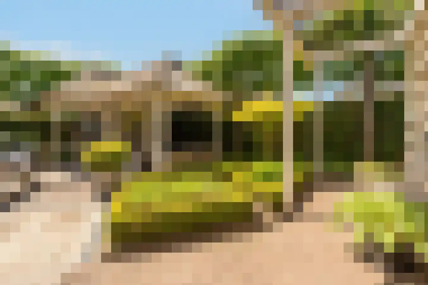 Collendoorn 24 Raalte thumbnail 52