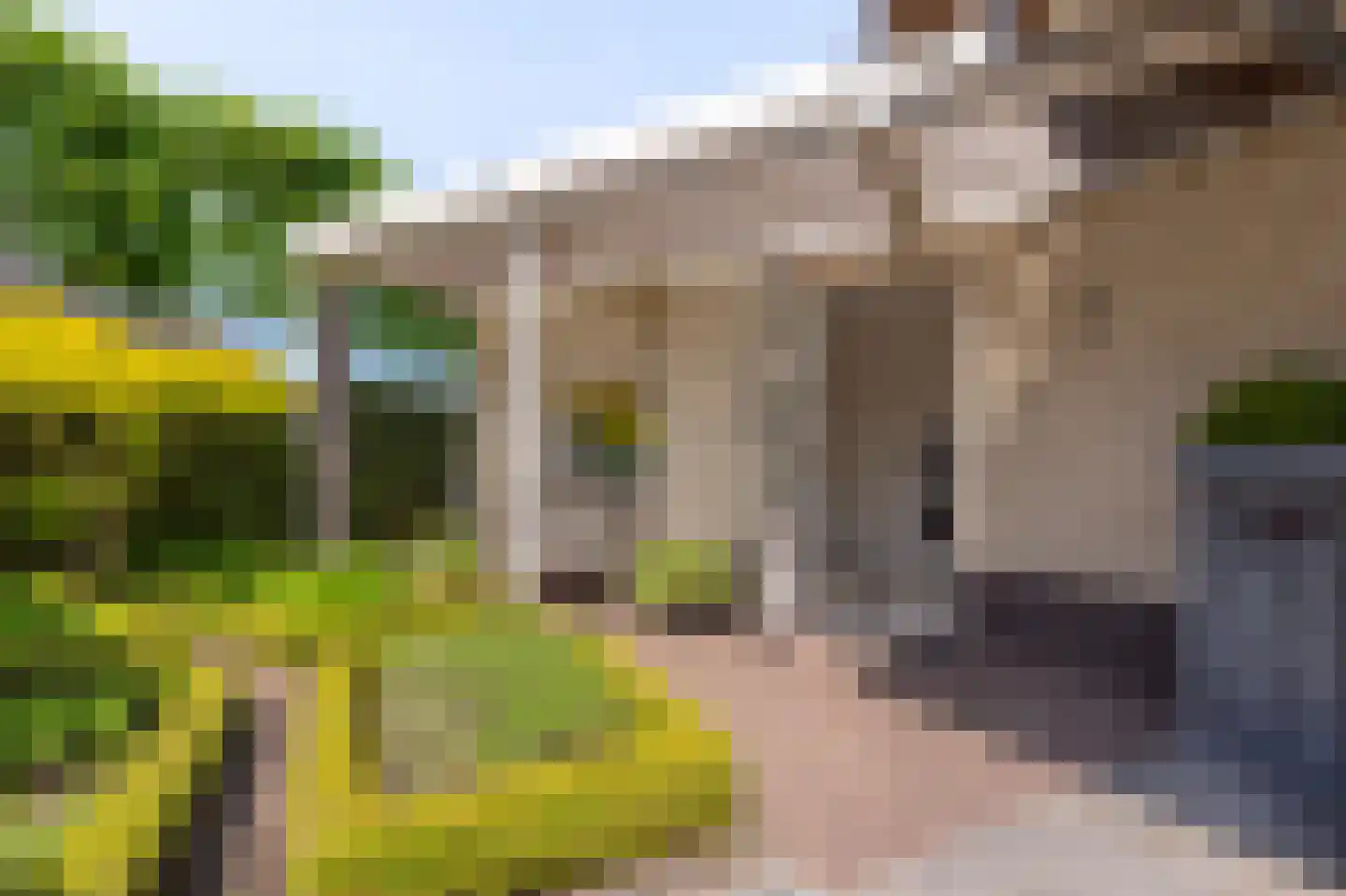 Collendoorn 24 Raalte thumbnail 53