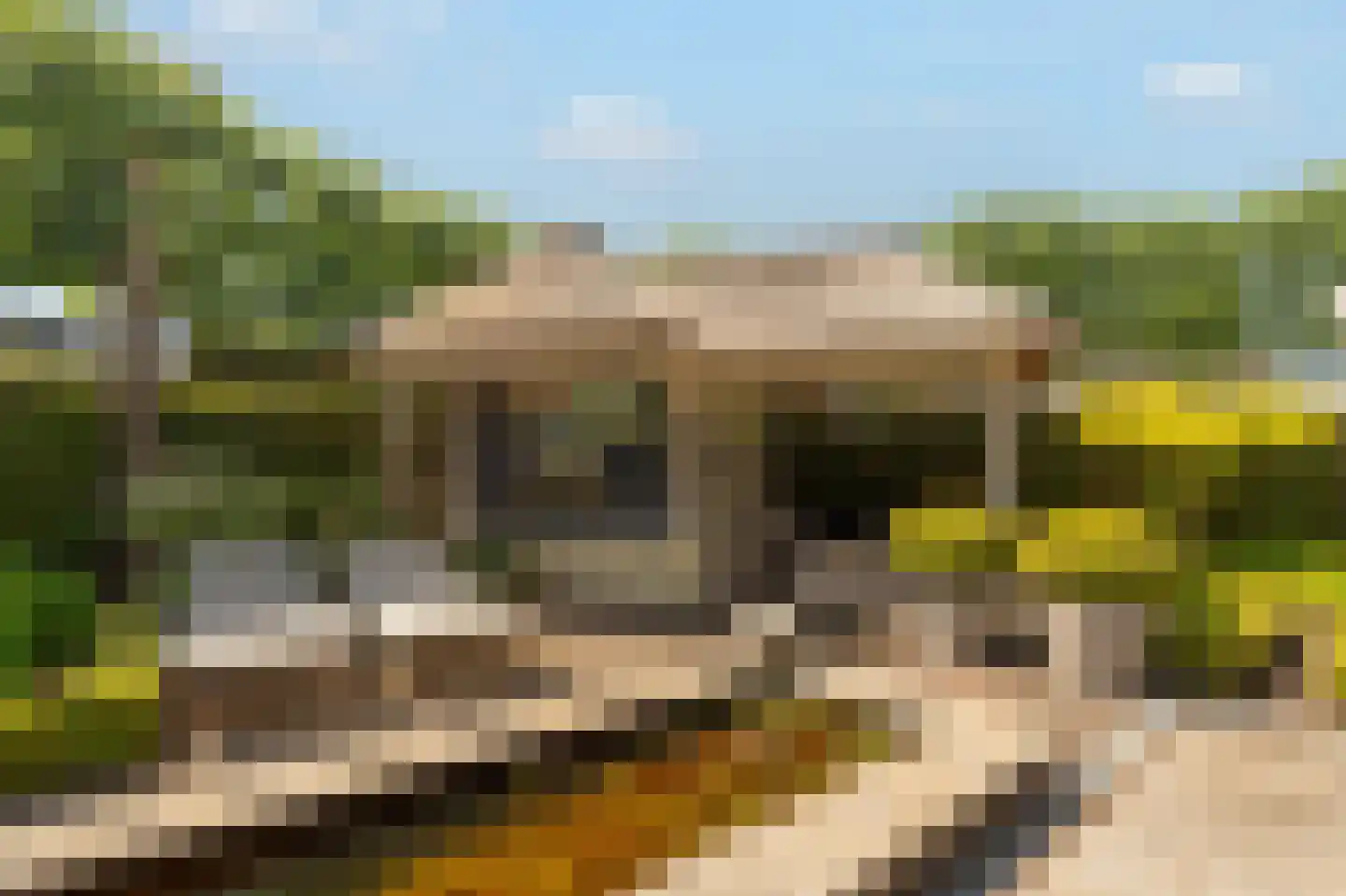 Collendoorn 24 Raalte thumbnail 55