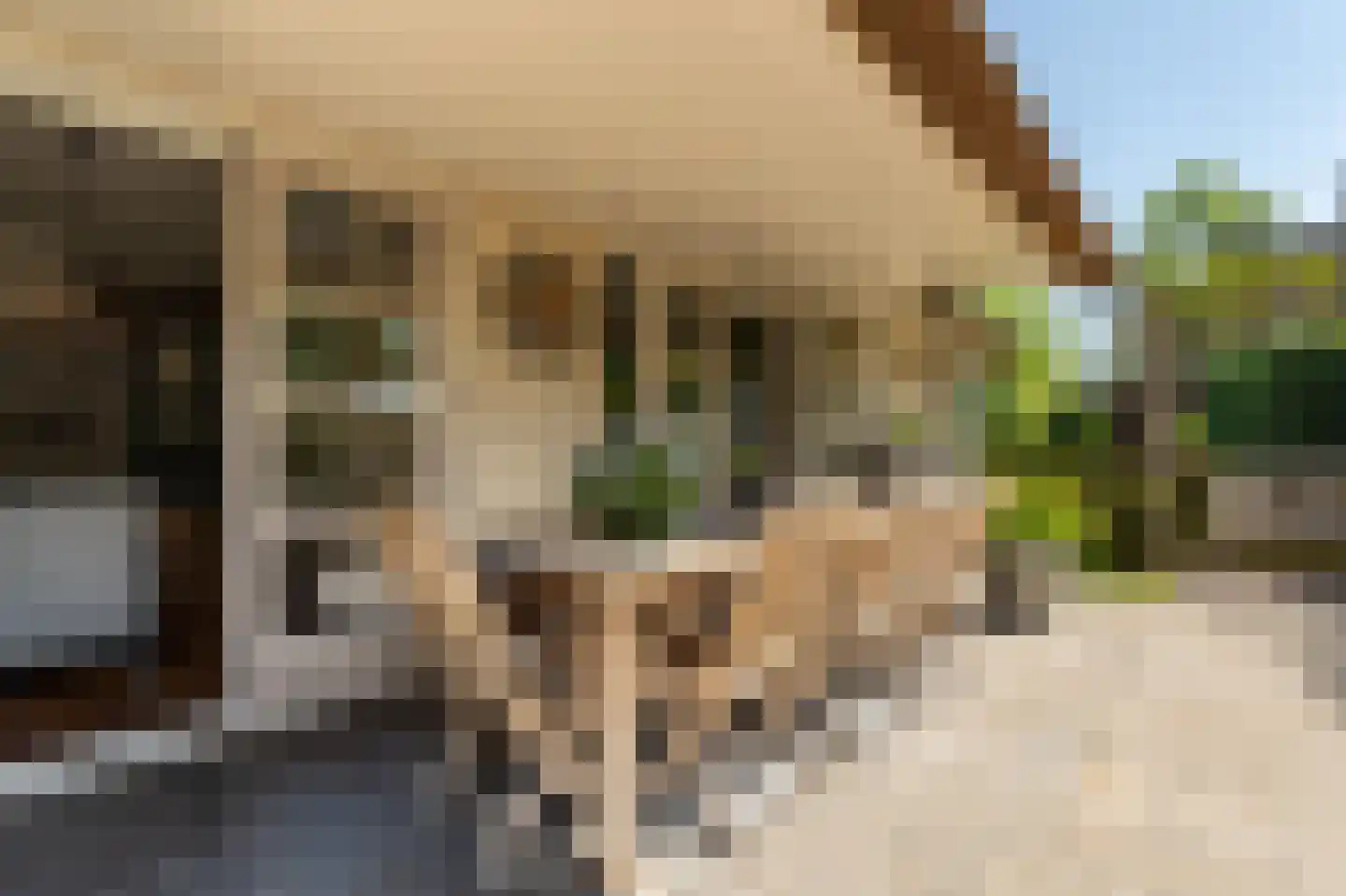 Collendoorn 24 Raalte thumbnail 59