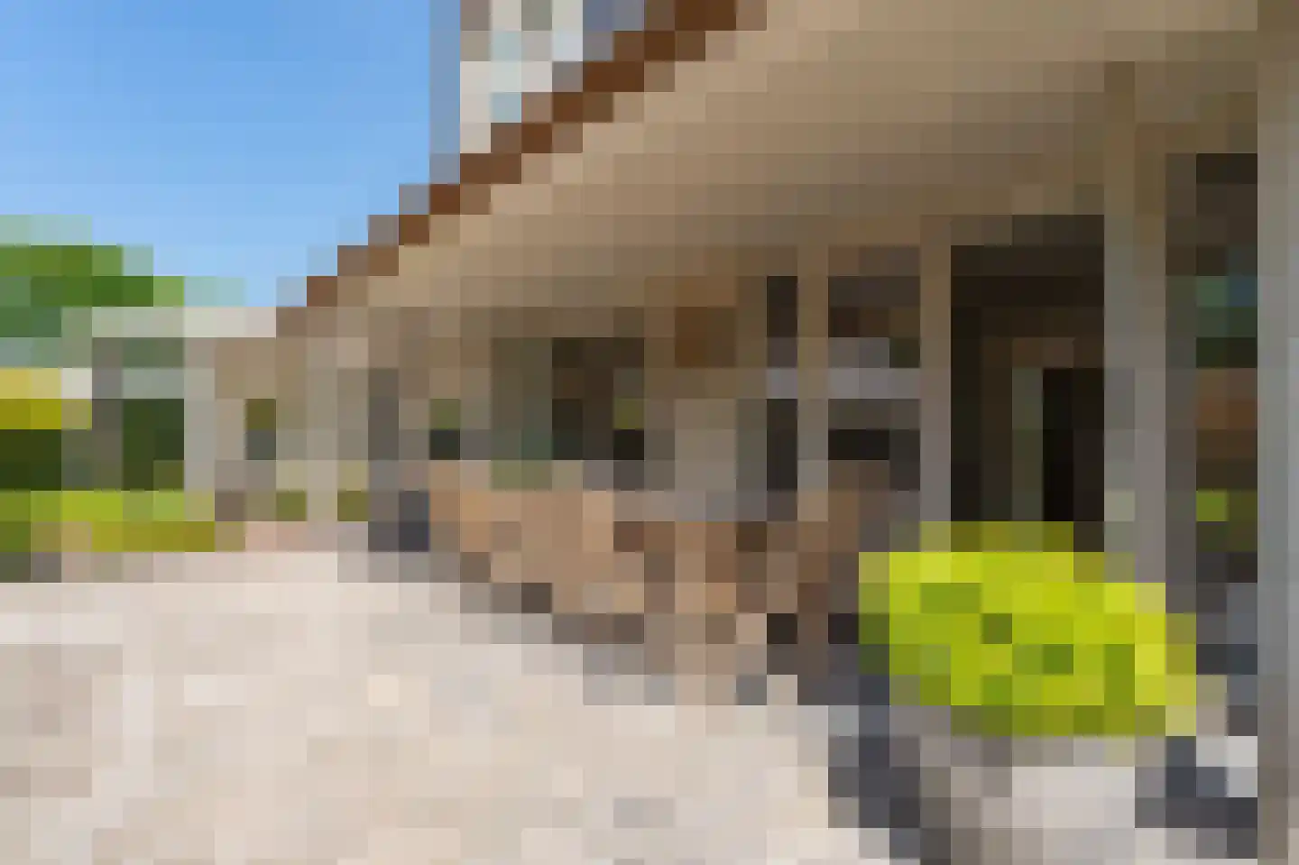 Collendoorn 24 Raalte thumbnail 60