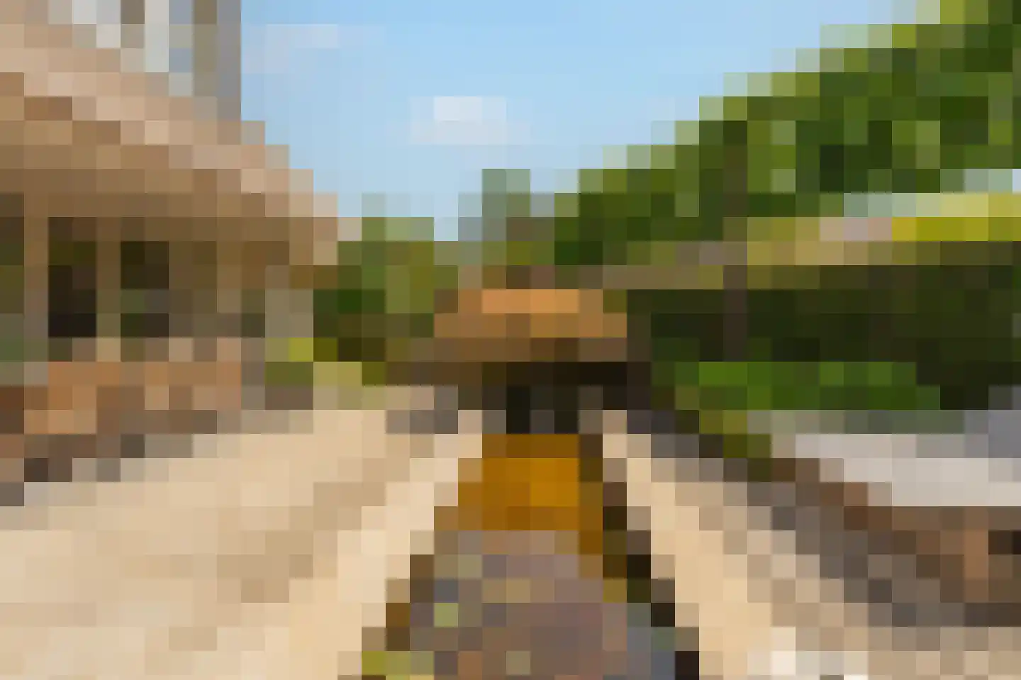 Collendoorn 24 Raalte thumbnail 61