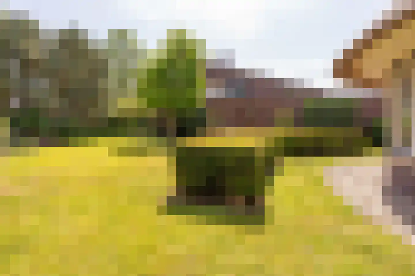 Collendoorn 24 Raalte thumbnail 65